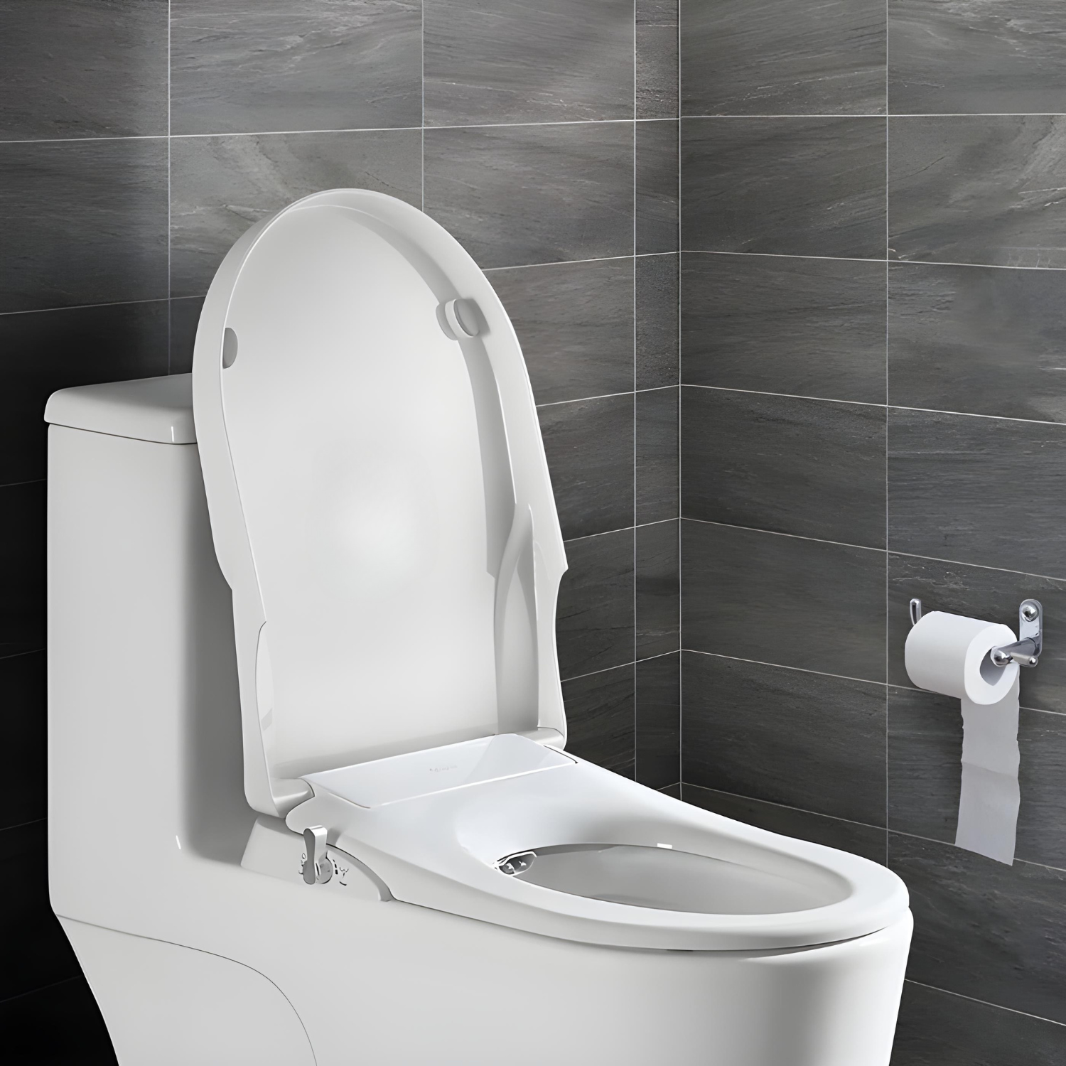 D Shape Bidet Toilet Seat | Dual Nozzle